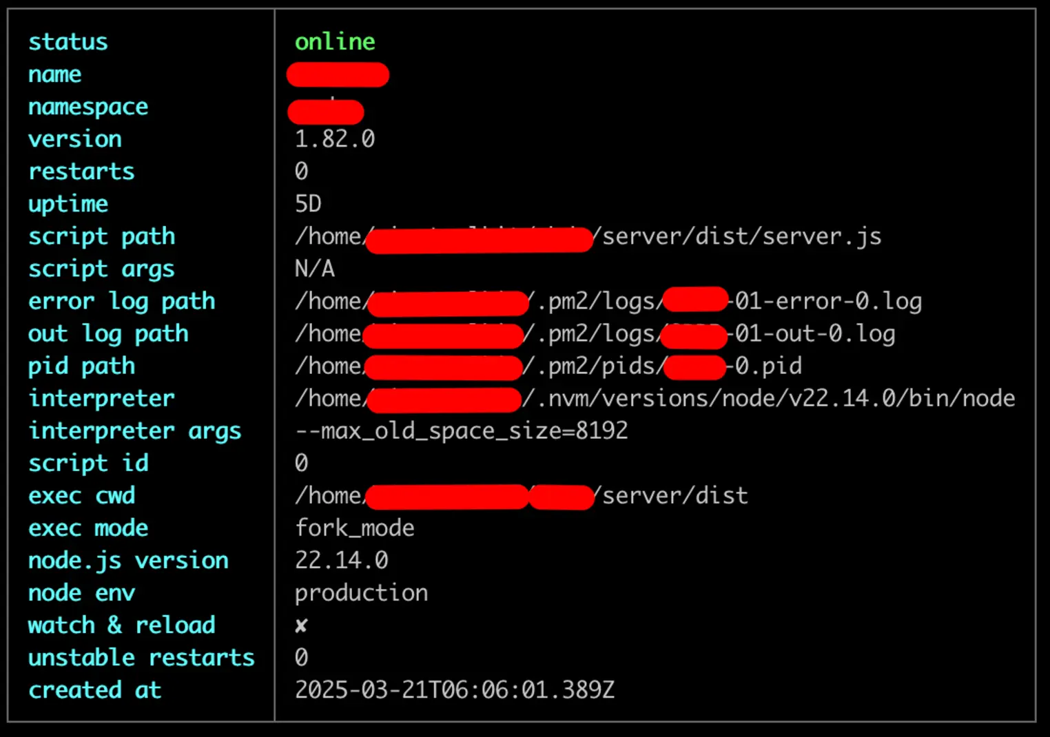 PM2 describe — detaily Node.js procesu: verze 22.14.0, production, uptime 5D